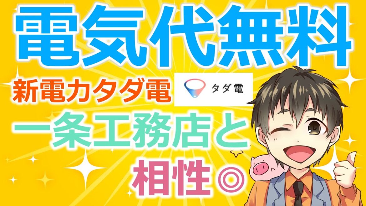 【ガチで0円】電気代が無料になるタダ電は一条工務店と相性抜群なのでやり方を解説します。【新電力】/アイスマイル/ハグミー/グランスマート/ルームツアー/LOOOPでんき/東京電力/関西電力