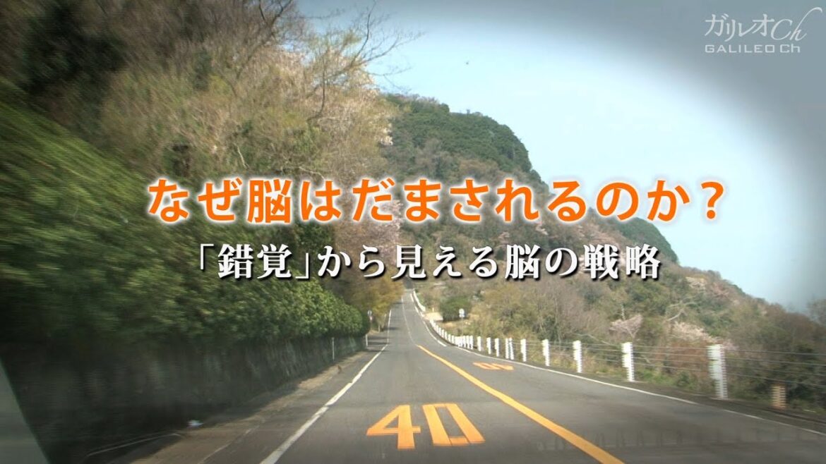 【錯覚の謎】なぜ脳はだまされるのか？「錯覚」から見える脳の戦略 | ガリレオX 第51回