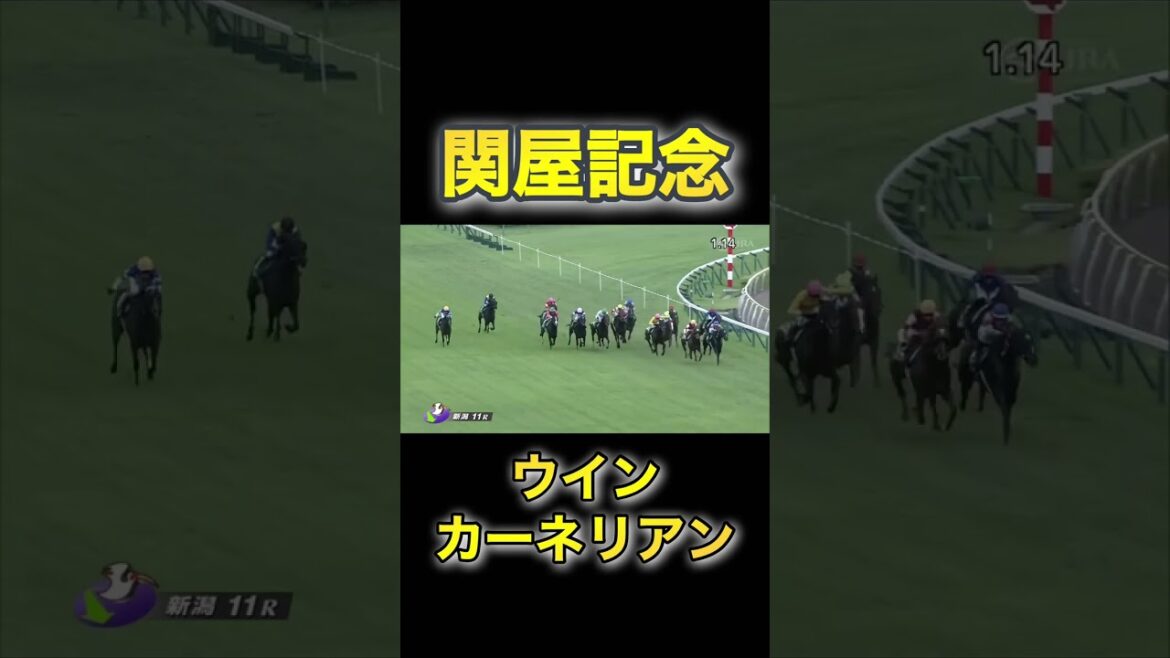 【関屋記念2022】ウインカーネリアン