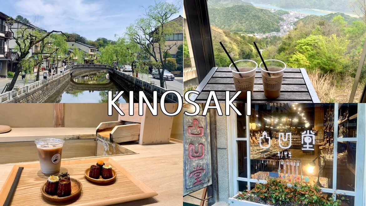【1泊2日】城崎温泉旅行♨️【vlog】trip/kinosaki/japan