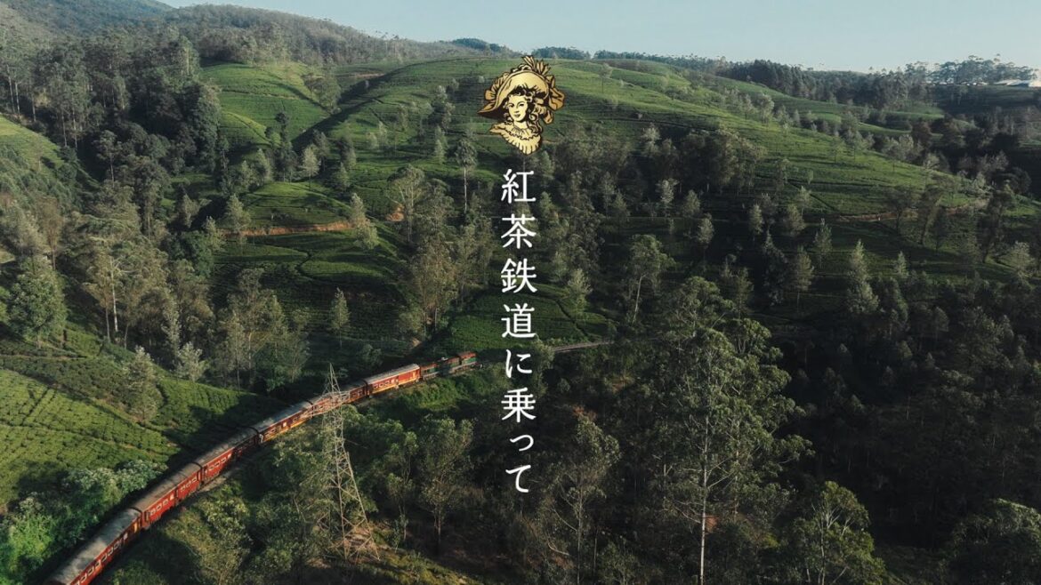 キリン 午後の紅茶　「紅茶鉄道に乗って」篇　60秒