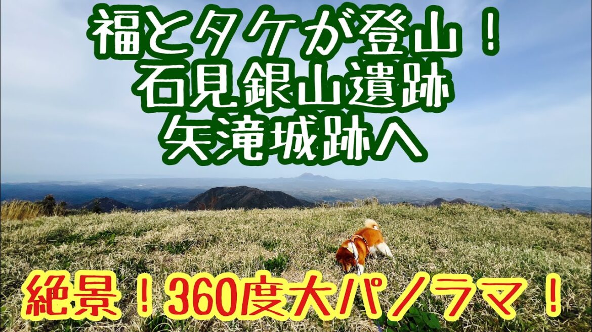 スカイツリーと同じ高さ！石見銀山遺跡の矢滝城山に福とタケが挑む！