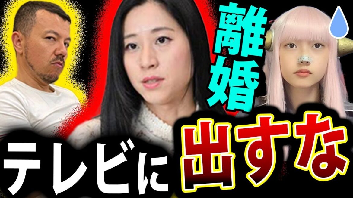 三浦瑠麗 離婚 で テレビ復帰 は 無いわ【 親中 朝まで生テレビ！ 夫 三浦清志 太陽光発電 SNS 最新情報】