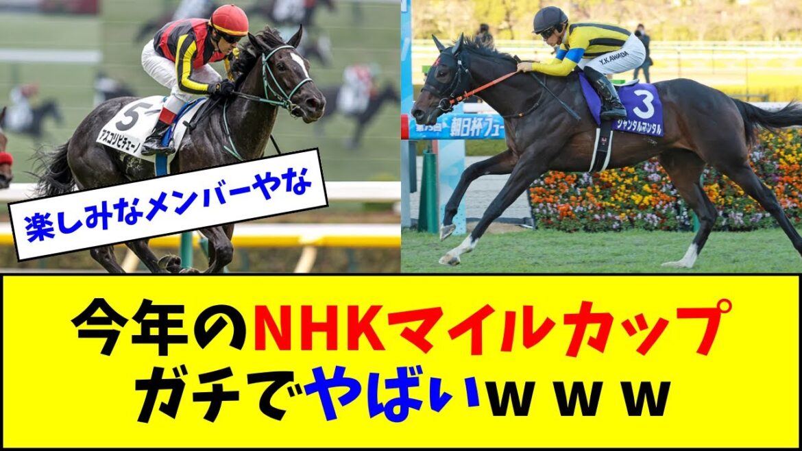 今年のNHKマイルカップ、ガチでやばいｗｗｗ