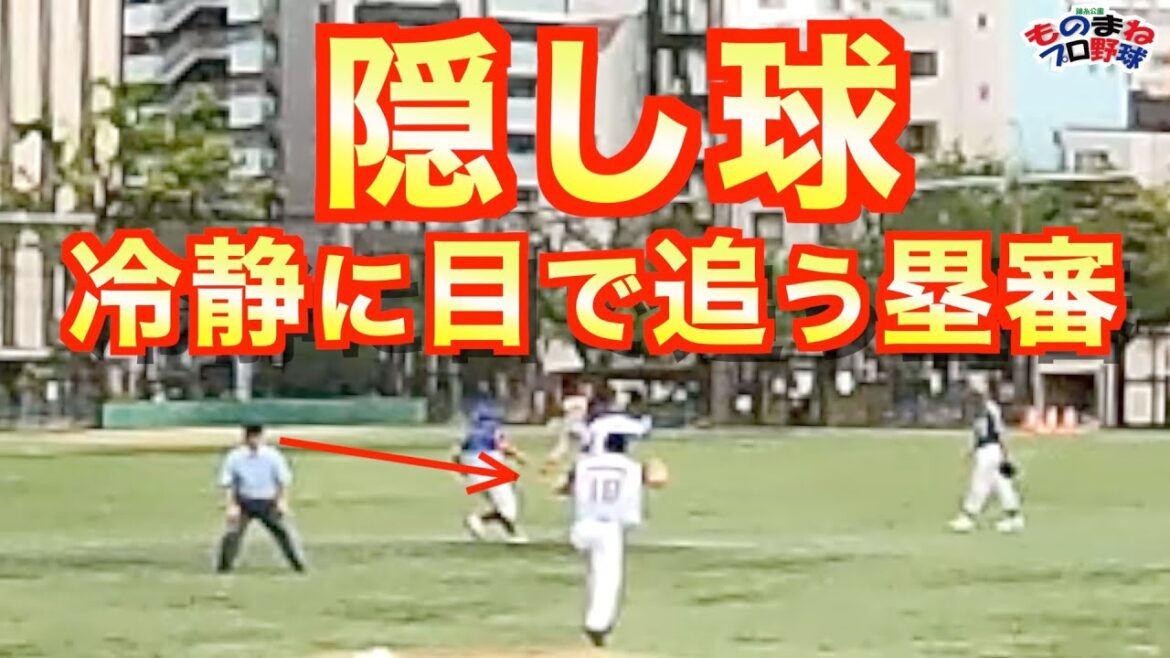 偽投&隠し球【錦糸公園ものまねプロ野球】累審だけが冷静に目で追ってたΣ(ﾟдﾟlll)名物サインプレー！ショート、センターの迫真の演技