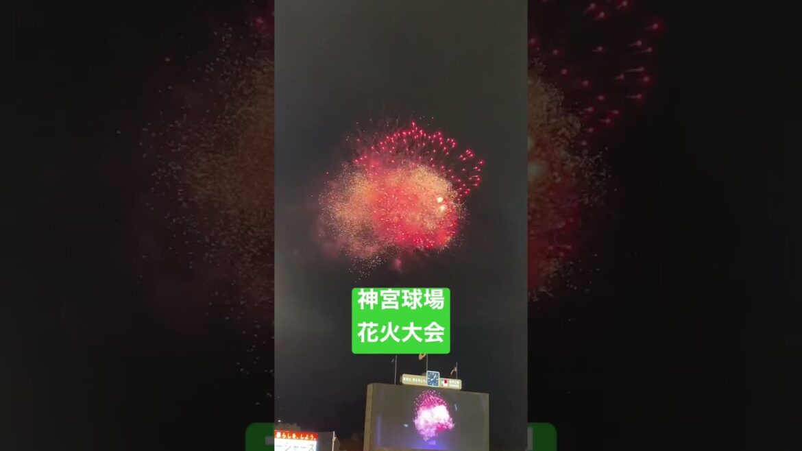 神宮球場花火大会　#shorts