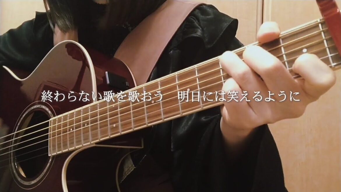 終わらない歌/THE BLUE HEARTS  弾き語りcover