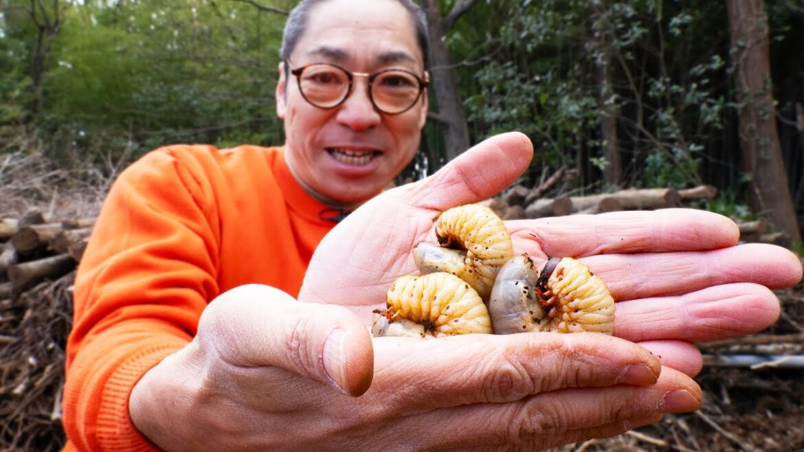 香川照之と昆虫採集してみた
