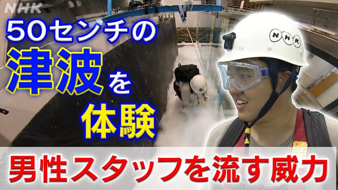 警戒 巨大津波の危険性 日本海中部地震から40年【きんよる秋田】| NHK