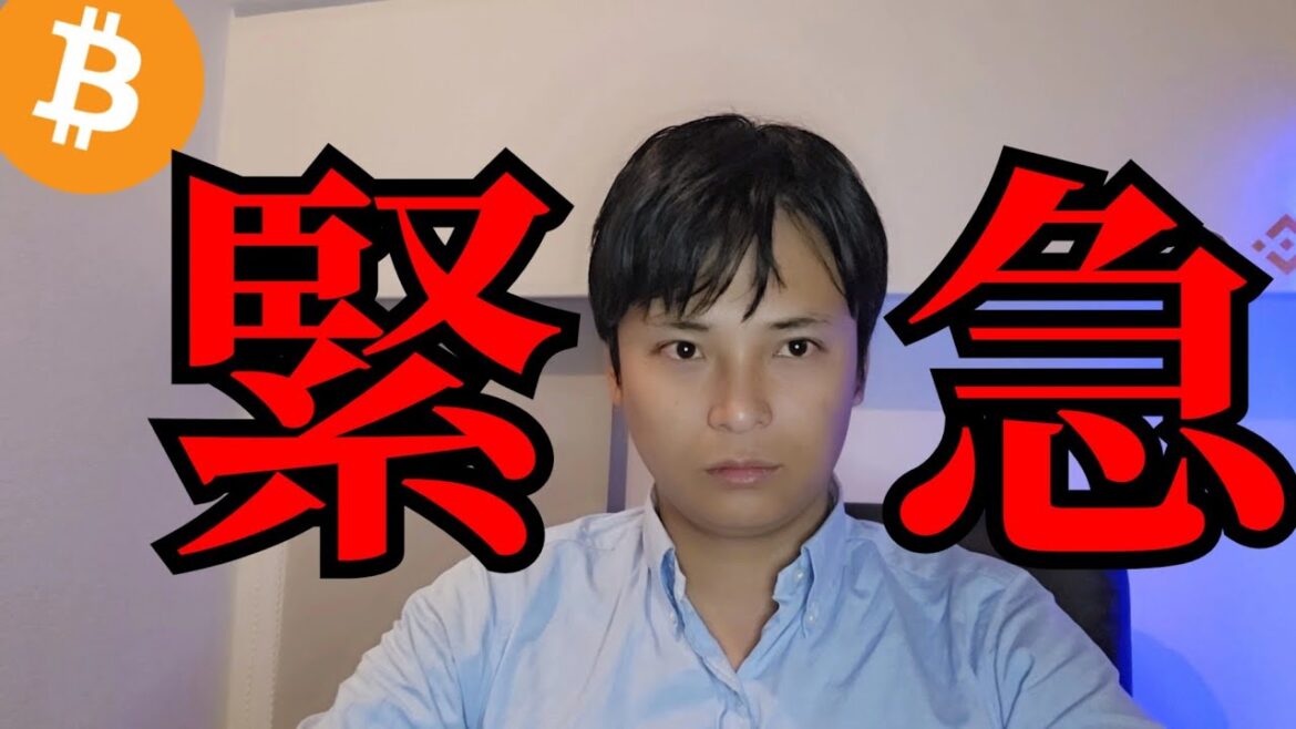 【緊急】仮想通貨バブル来ない？今どうするべき？20億り人の本音