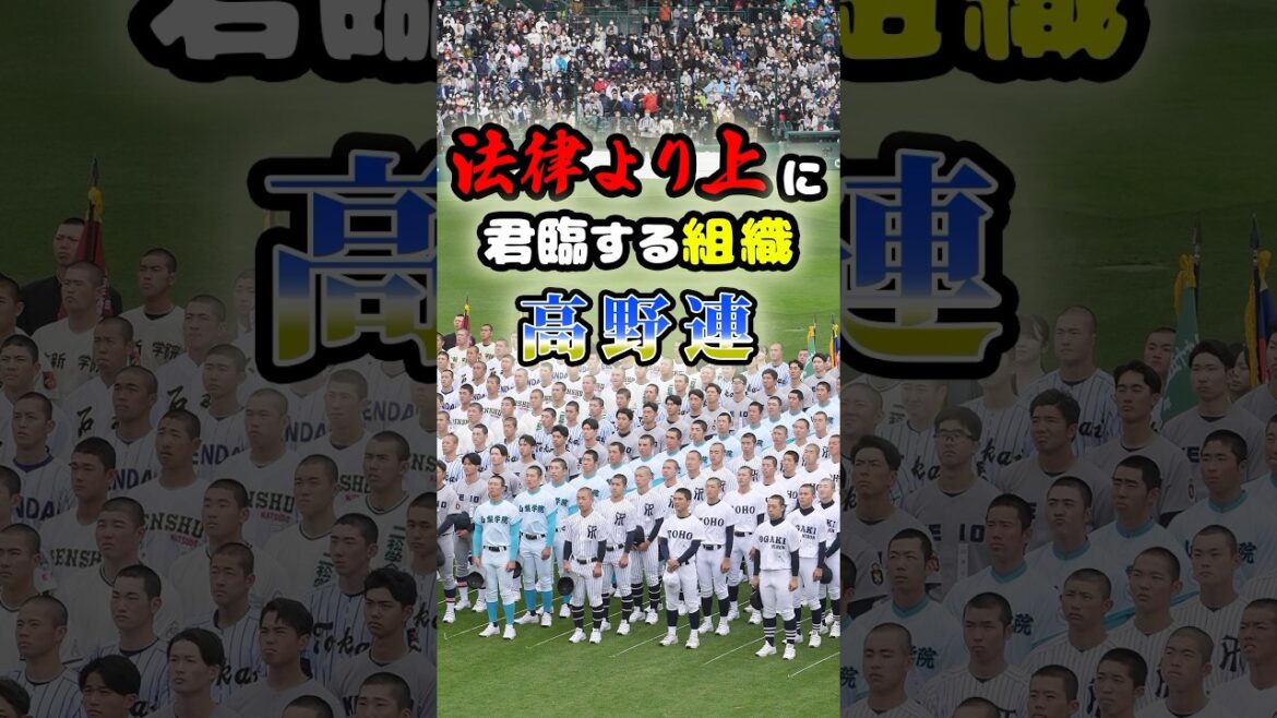 「法律より上に君臨する」高野連に関する雑学 #野球 #高校野球 #甲子園 「法律より上に君臨する」高野連に関する雑学 #野球 #高校野球 #甲子園