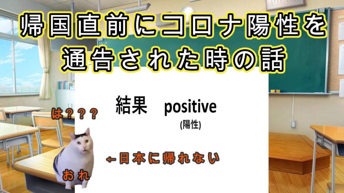 【猫ミーム】帰国直前にコロナ陽性を診断された時の話
