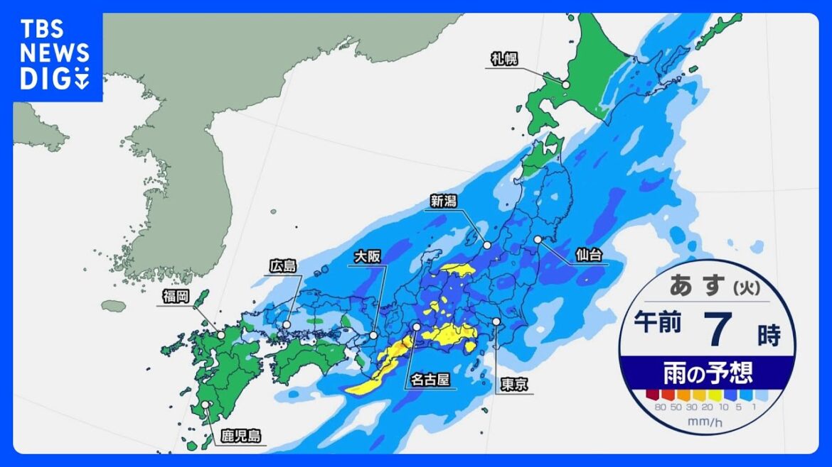 関東や東海などで警報級の大雨のおそれ　東京都心も昼前後は激しい雨　気温変化にも注意｜TBS NEWS DIG