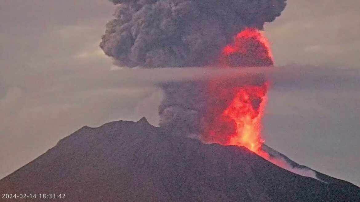 桜島大爆発(20240214・財宝公式チャンネルライブカメラより)