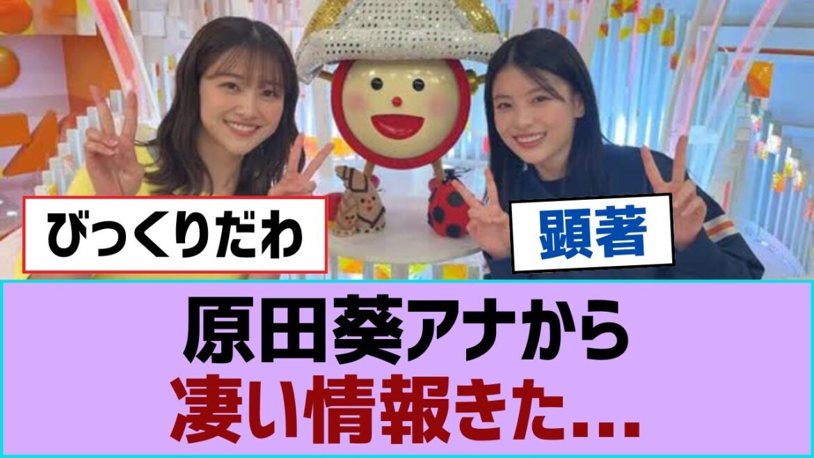 【櫻坂46】原田葵アナから凄い情報きた...【そこ曲がったら櫻坂・櫻坂46】