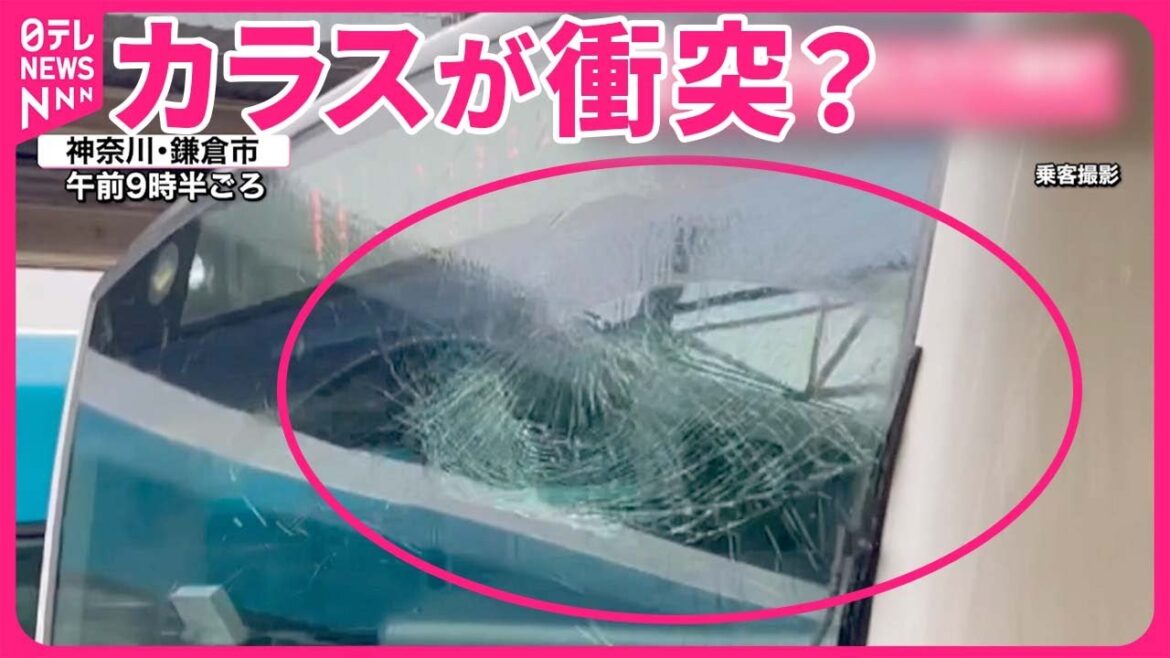 【JR東海道線】運転席のガラスにヒビ