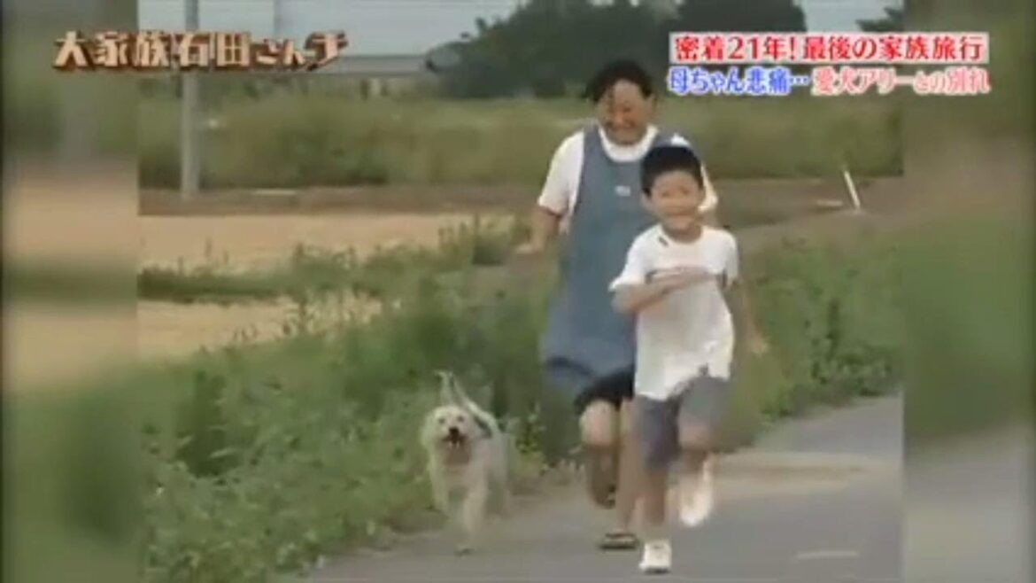 【 大家族石田さんチ 2024 】 🅷🅾🆃 「大家族石田さんチ 緊急招集!最後の家族旅行」 #7