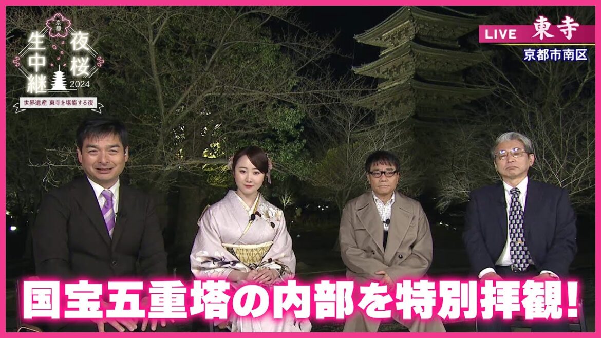 【BS11】京都夜桜生中継2024~世界遺産東寺を堪能する夜~/出演:本田望結、いとうせいこう、山田邦和、梶原誠、相埜 裕樹 【BS11】京都夜桜生中継2024~世界遺産東寺を堪能する夜~/出演:本田望結、いとうせいこう、山田邦和、梶原誠、相埜 裕樹