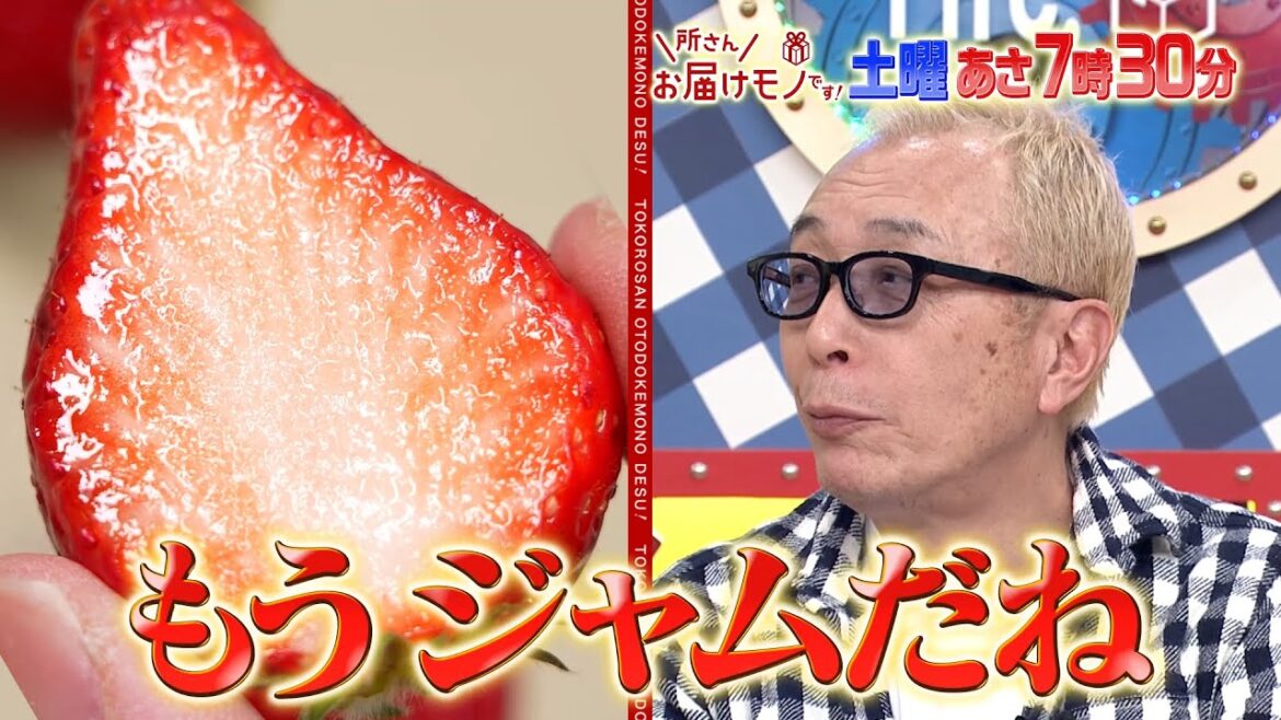 『所さんお届けモノです!』5/4(土) 即完売する幻のイチゴ！新井恵理那の手が止まらない!!【TBS】