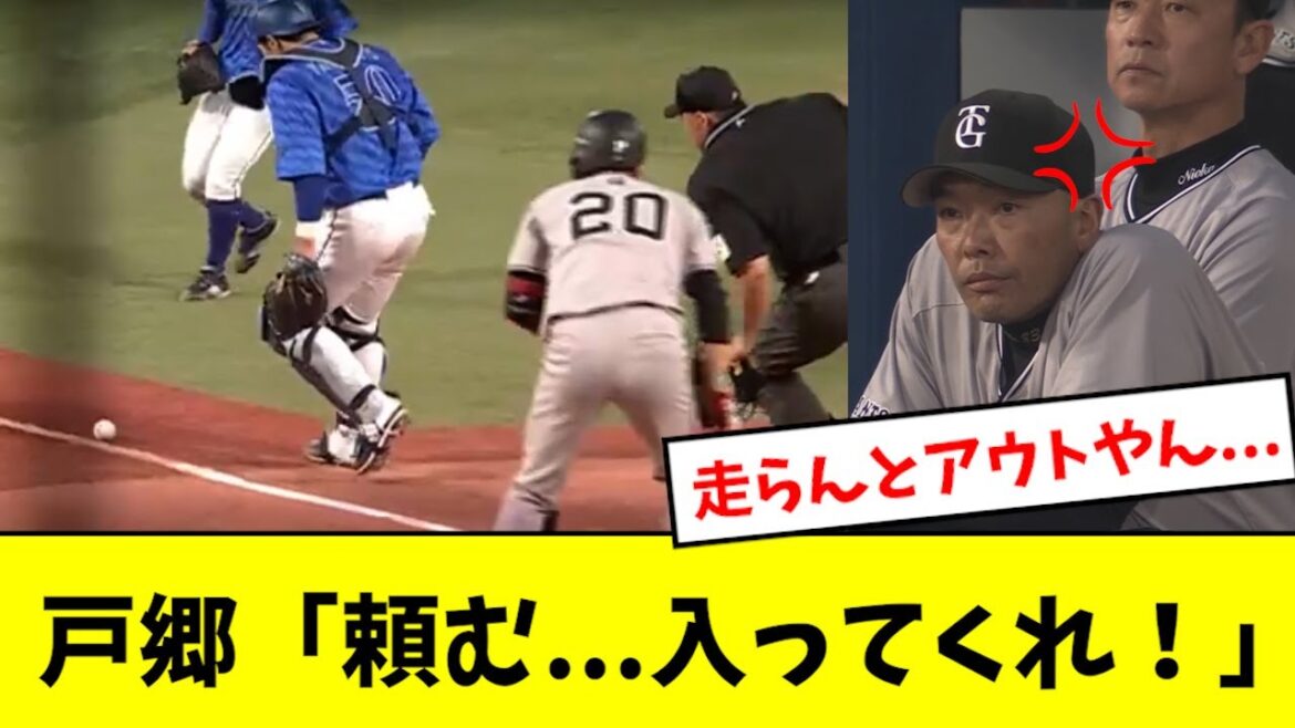 【なぜ？】戸郷、バントを試みるもその場で願い続けるwwwwwwww