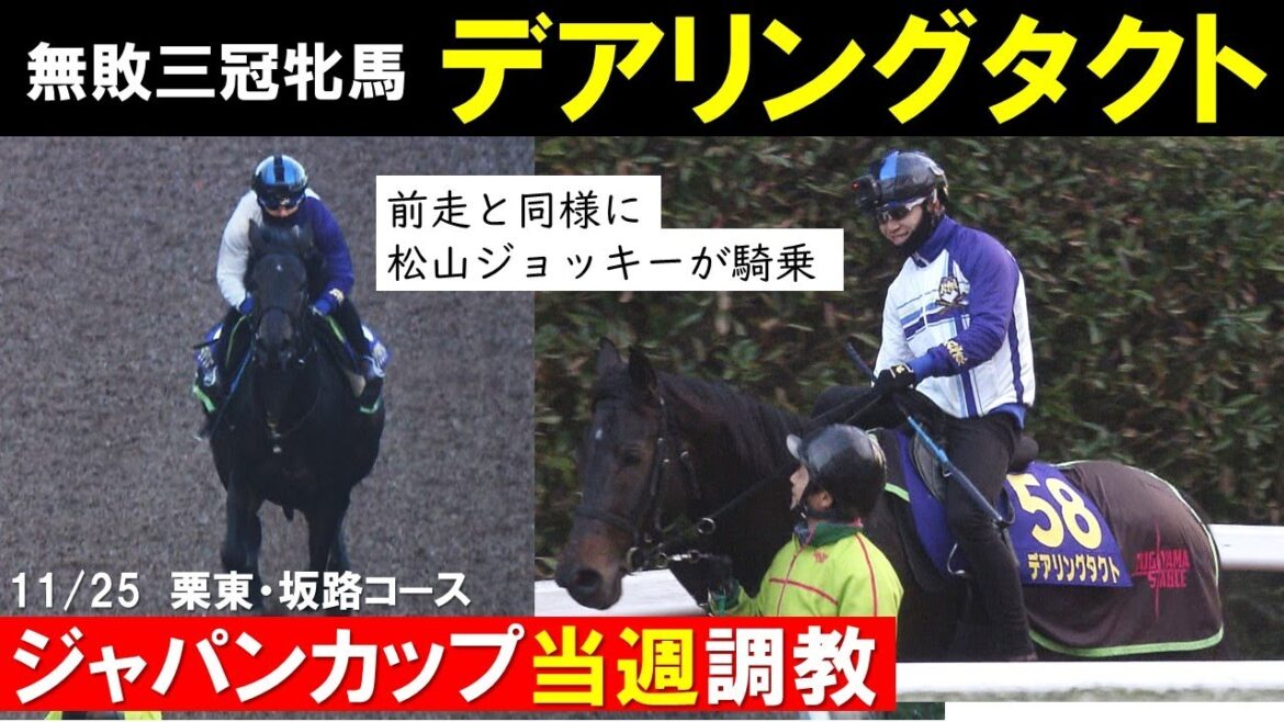 【ジャパンカップ2020】デアリングタクト  松山弘平騎手を背に最終追い切り