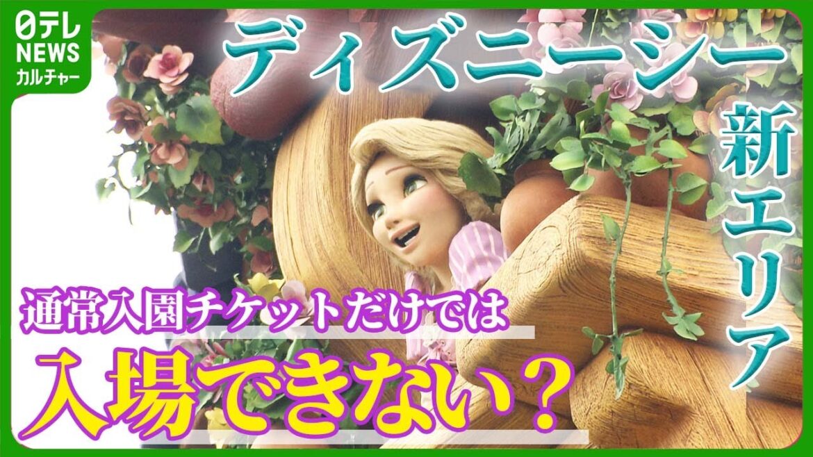 【ディズニー】新エリアに入場する際、入園チケットのほかに必要なものは　オープンまで残り1か月