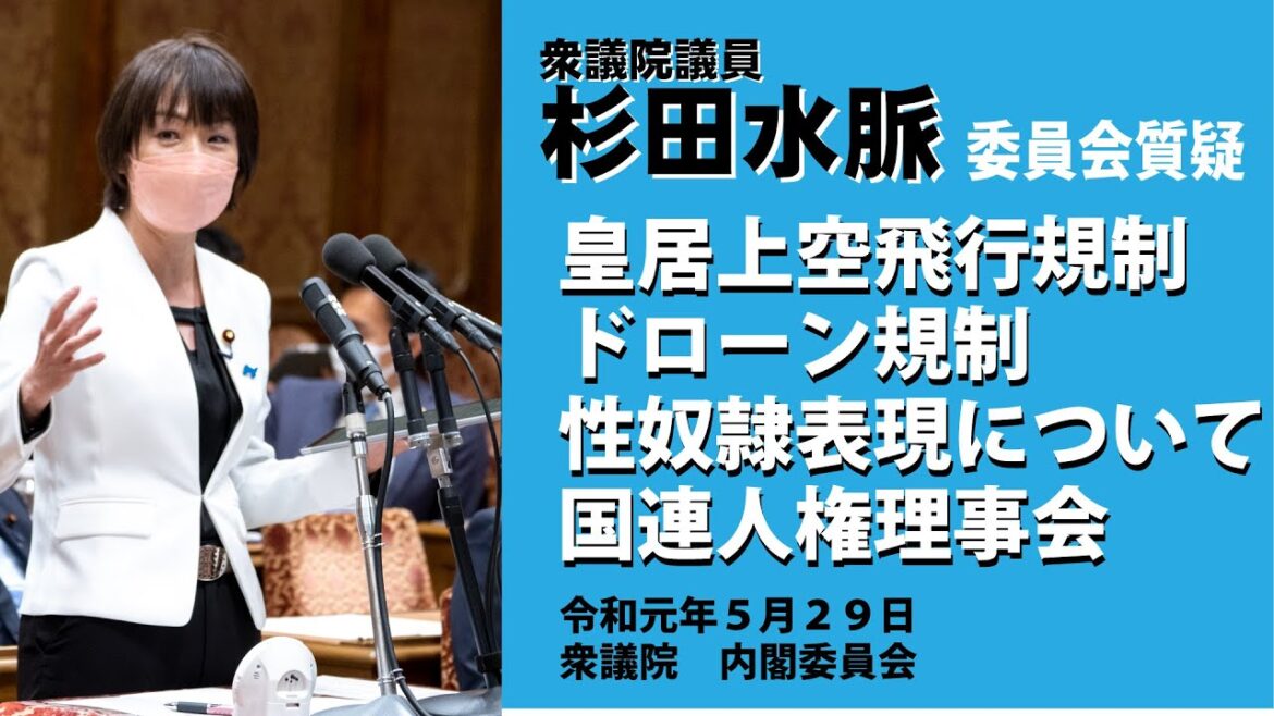 【公式】杉田水脈　令和元年5月29日（水）　衆議院内閣委員会