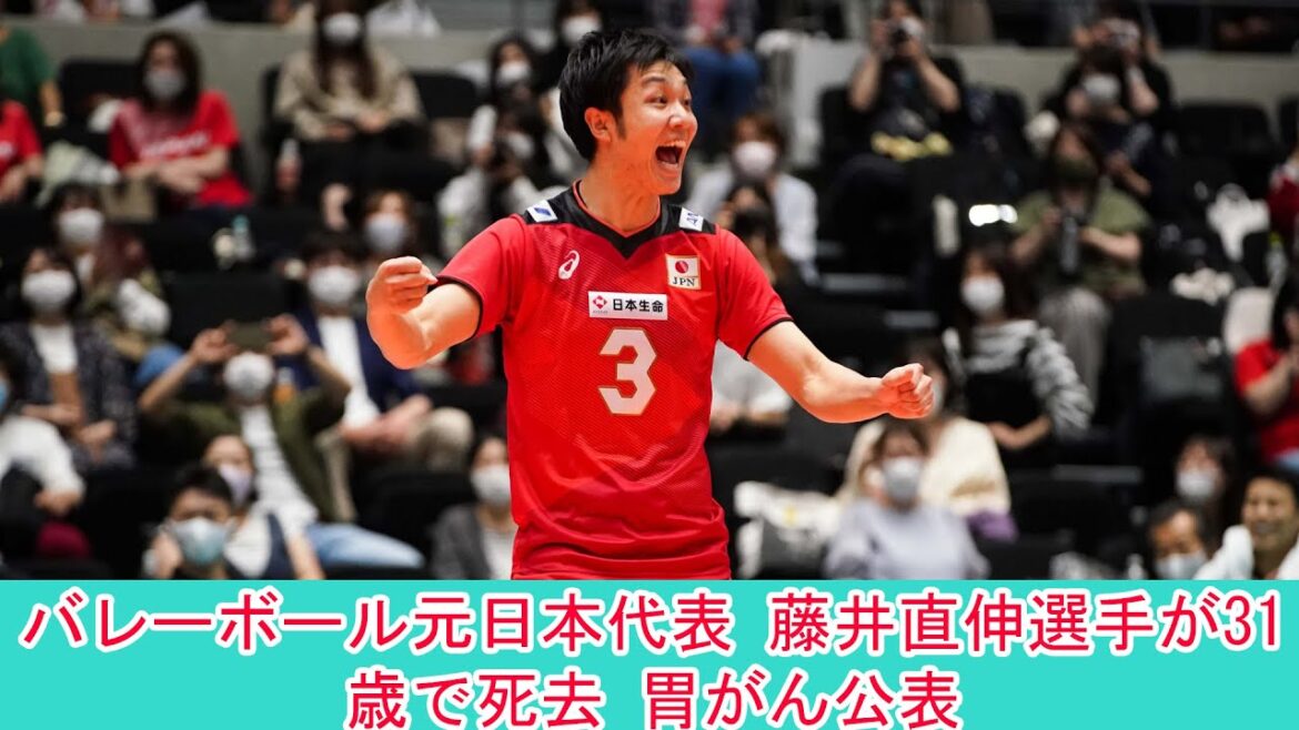 バレーボール元日本代表 藤井直伸選手が31歳で死去 胃がん公表 | ニュース 2023年3月12日 | #話題のニュース