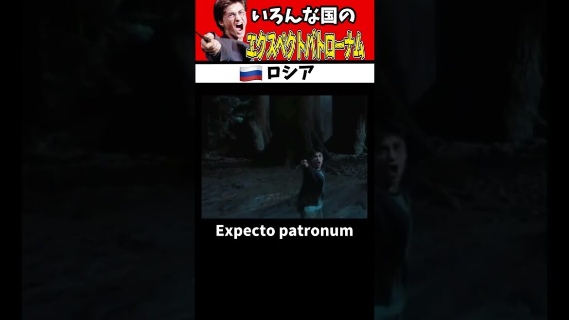 世界各国のエクスペクトパトローナムのクセが強すぎて爆笑www【ハリーポッター】