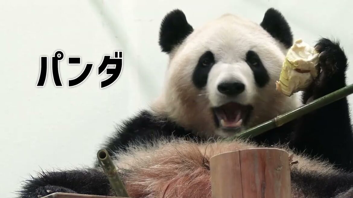 全国旅行支援「わかやまリフレッシュプランワイドSワイド2nd」TVCM（TOKYO MX）