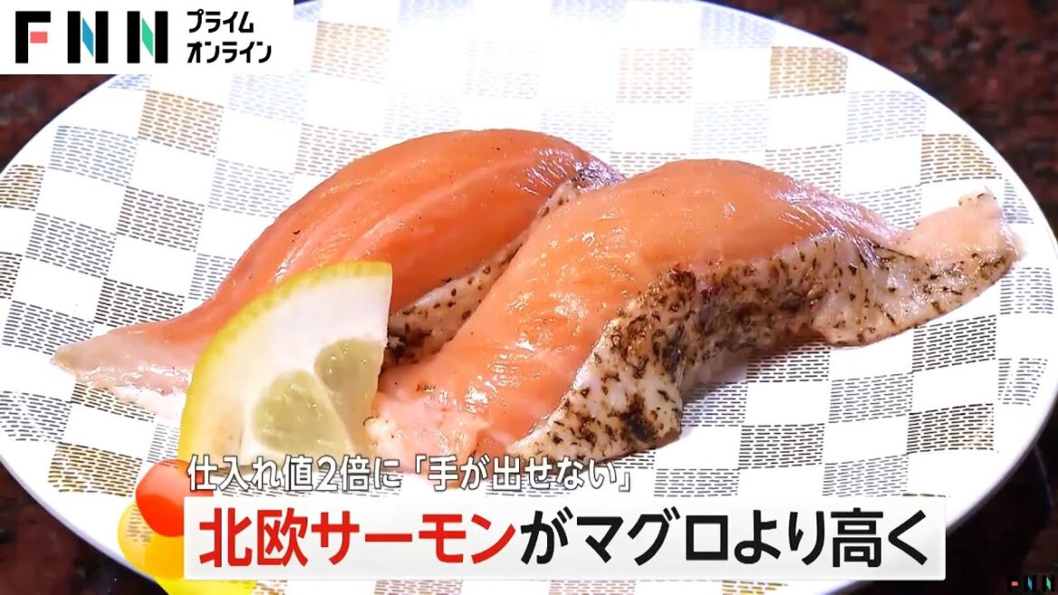 北欧サーモンがマグロより高値に…仕入れ値2倍で回転寿司店「手が出せない」ロシア領空飛べず輸送コスト増
