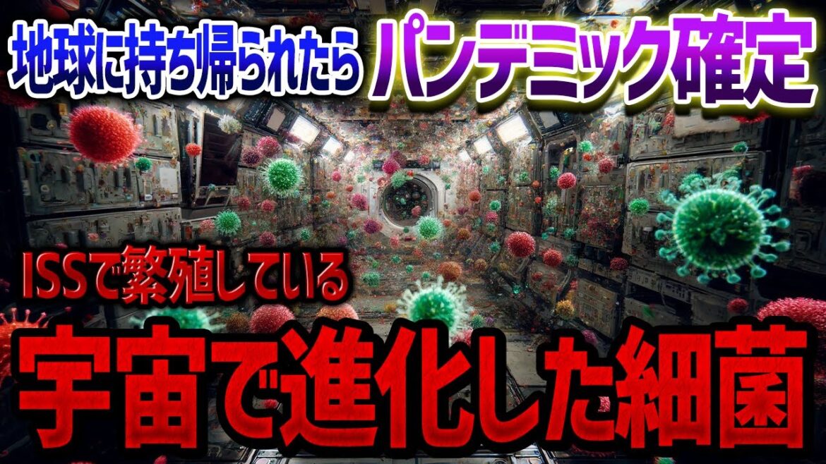 国際宇宙ステーションで見つかってしまった薬も効かない最恐の細菌たち【ゆっくり解説】