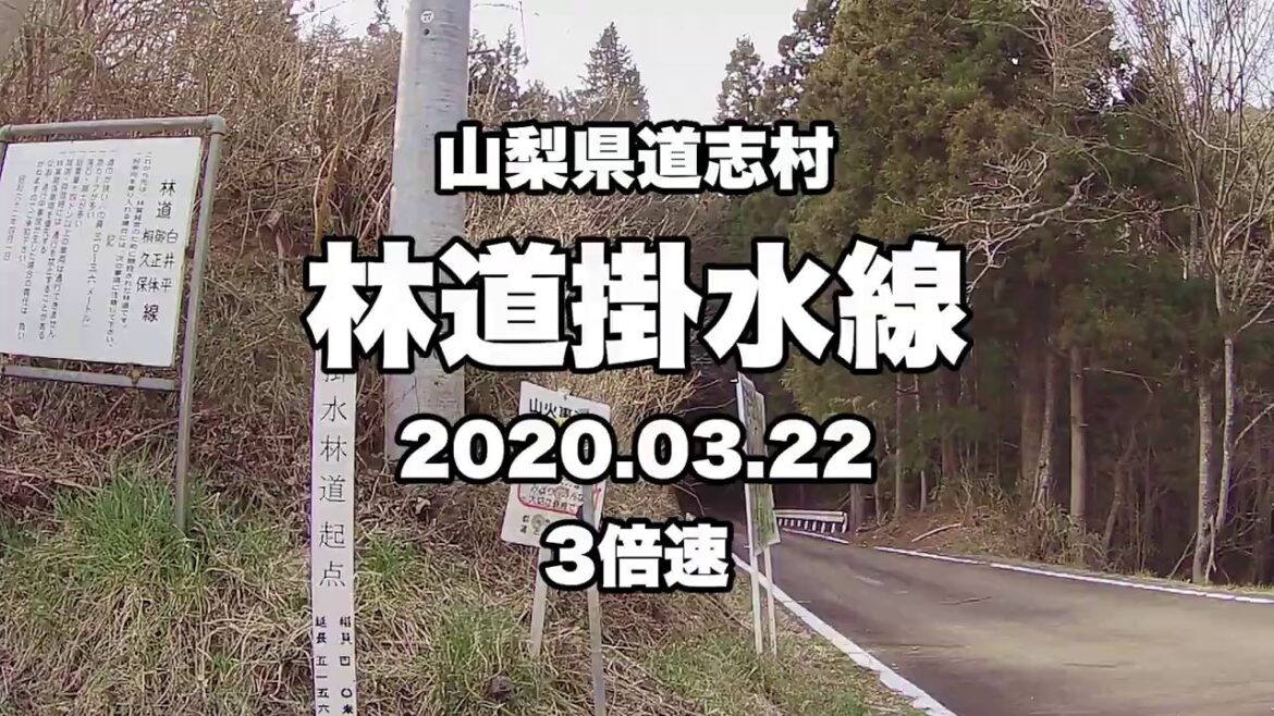山梨県道志村 林道掛水線 ノーカット 3倍速【舗装林道】【走行動画】