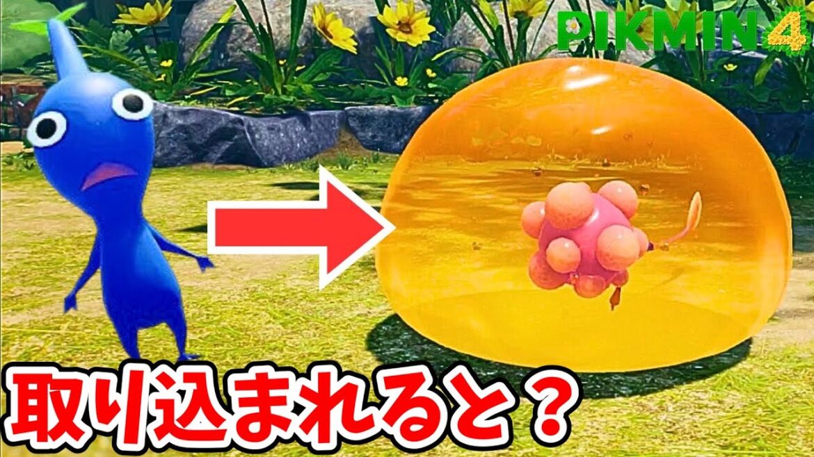巨大ピクミンをミツモチの中に入れたらどうなってしまうのか？【ピクミン4】