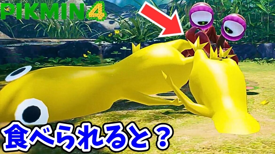巨大ピクミンを原生生物が食べたら信じられない光景に！？【ピクミン4】