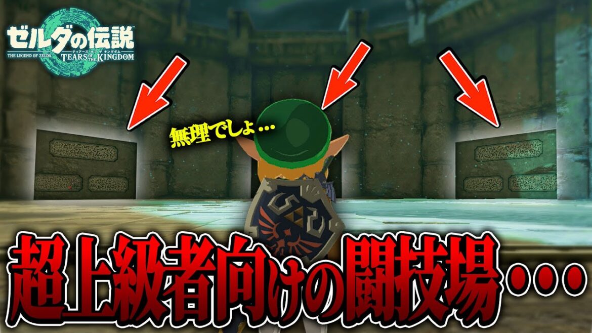 攻略が難しすぎる『超上級者向けの闘技場』に戦闘初心者が挑んでみたら....【ゼルダの伝説 ティアーズ オブ ザ キングダム / 検証 / バグ】