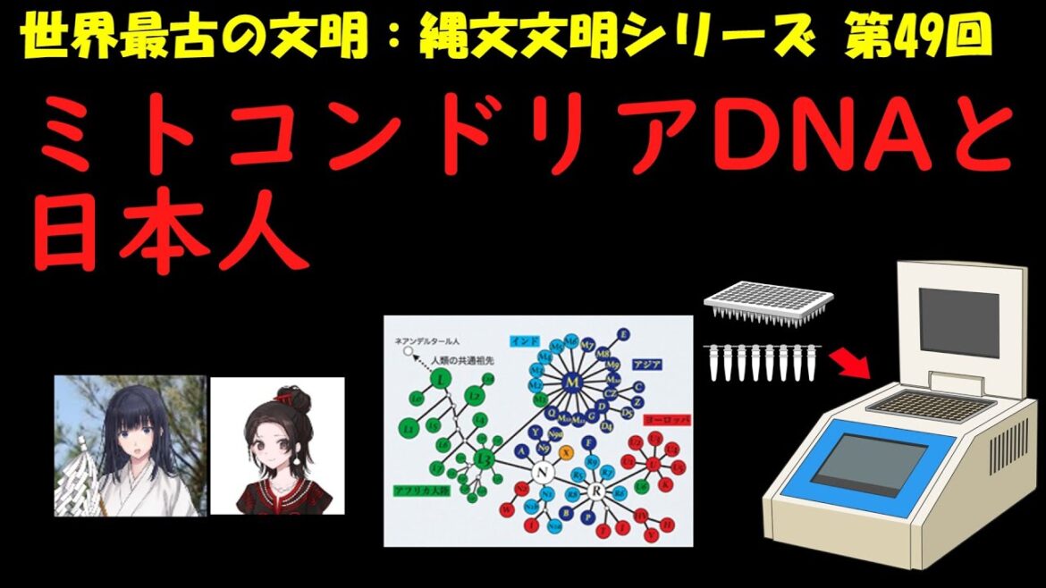 日本人に多いミトコンドリアハプログループ【日本人のルーツシリーズ】
