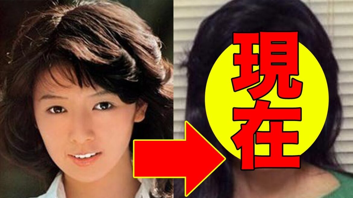 木之内みどり、今現在の姿が話題に！