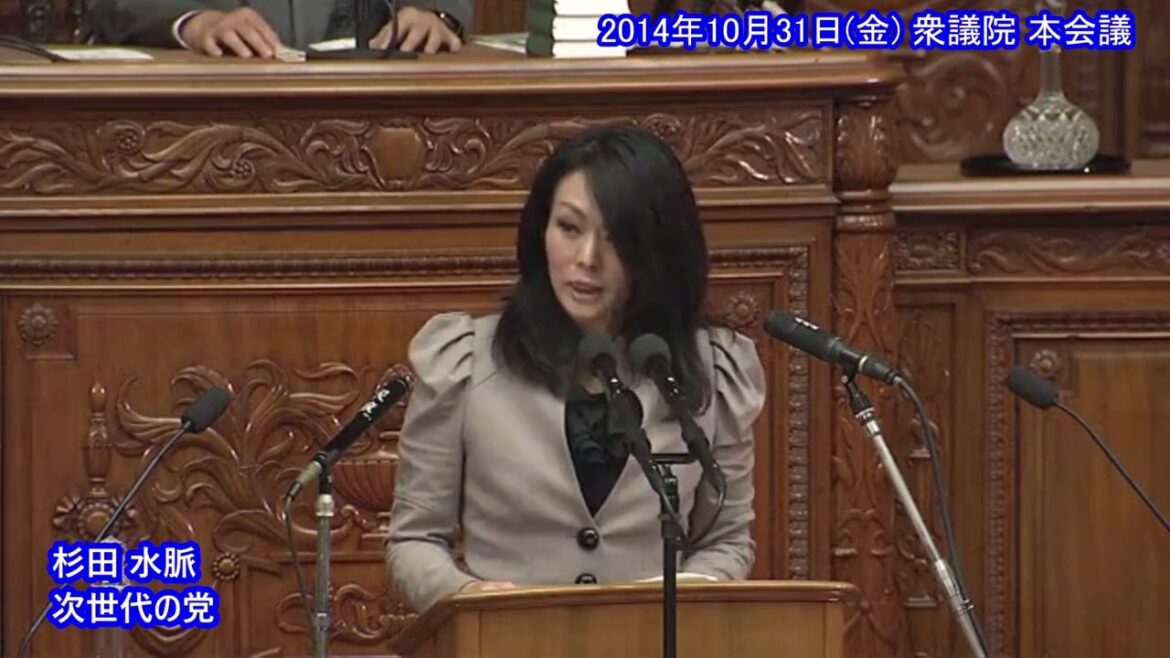 杉田水脈(次世代の党) 衆議院 本会議 質問 2014年10月31日(金)