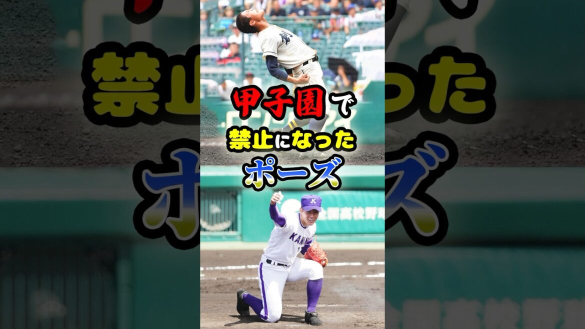 過度なパフォーマンスや発言、抗議すらも受け付けない「夏の風物詩」に関する雑学　#野球 #高校野球 #甲子園