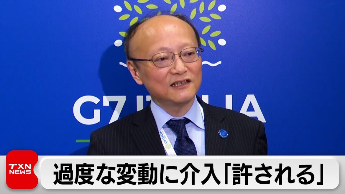 過度な為替変動に介入「許される」 イエレン米財務長官の発言に対し（2024年5月25日）