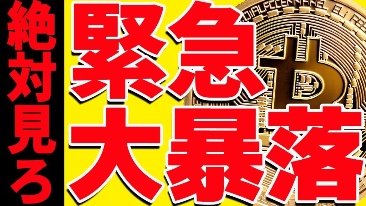 ⚠️絶対見て⚠️ビットコイン大暴落で完全終了⁉︎今後の最新シナリオを緊急共有！【仮想通貨】