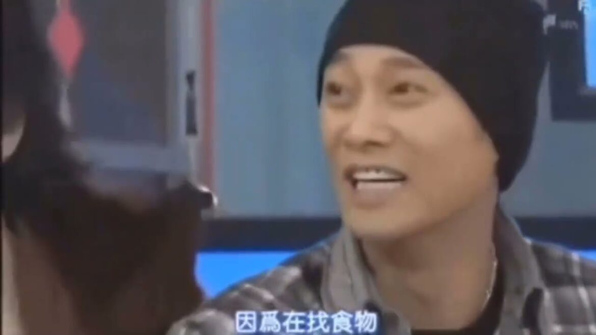 大野智 & 中居正広 PART 10 🤣🤣🤣🤣