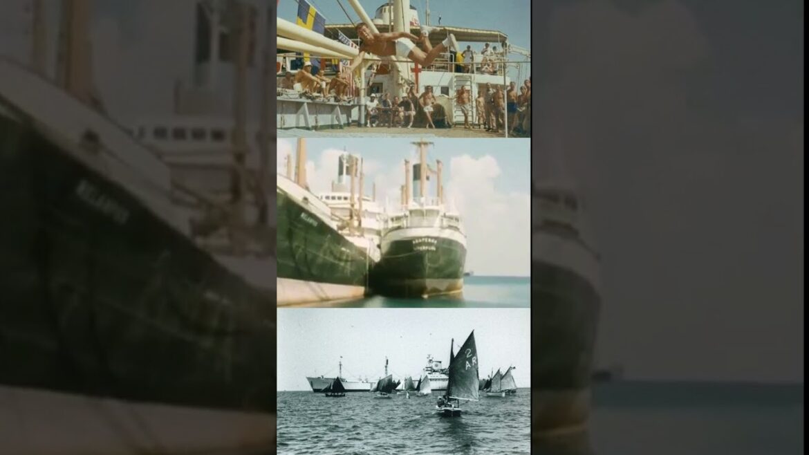 Stuck at Sea for 8 Years! The True Story of the Yellow Fleet