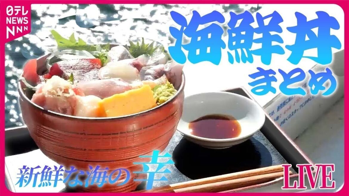 【海鮮丼まとめ】倉庫街の海鮮丼/こだわりの“名物丼”大集合/寿司店なのにまさか…! サービス満点のモツ煮定食！終着駅の美味い店など グルメ ...