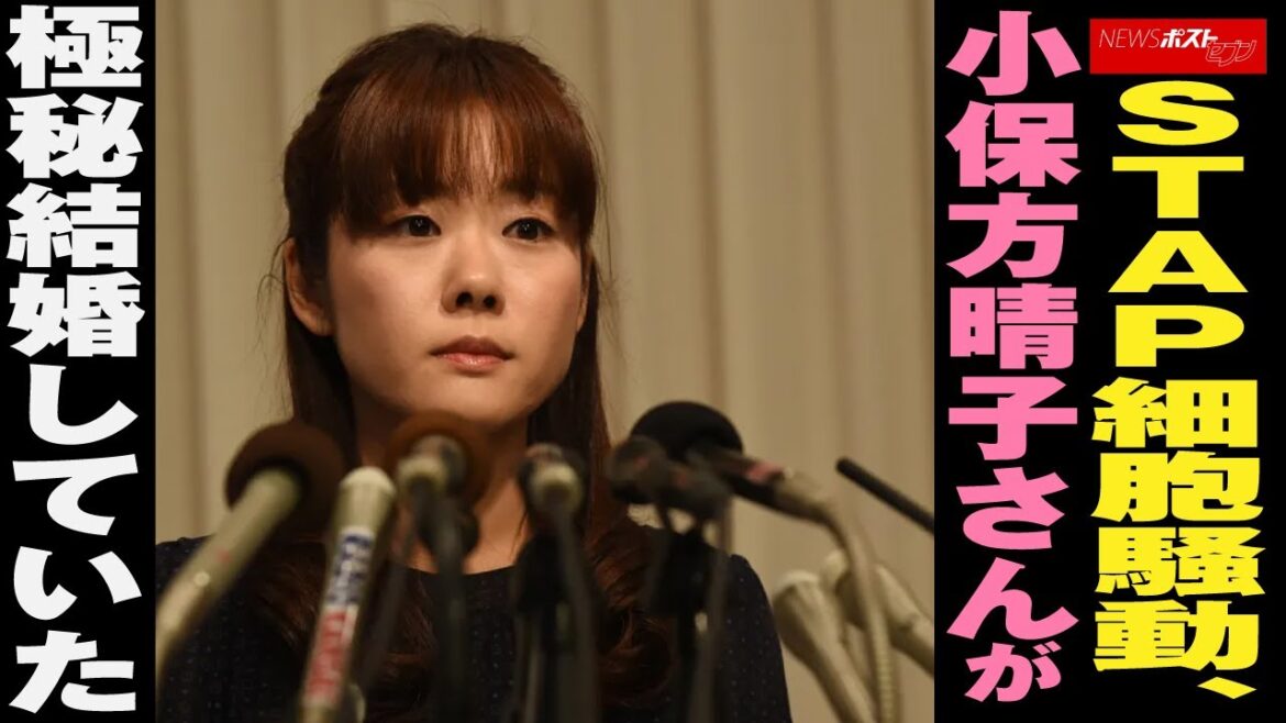 STAP細胞 騒動 、 小保方晴子 さんが 極秘結婚 していた NEWSポストセブン
