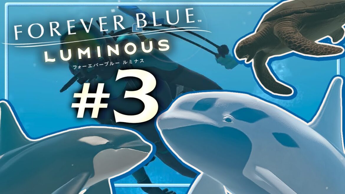 発見！変異種の白いシャチ！？『フォーエバーブルー ルミナス』を実況プレイ#3【FOREVER BULE LUMINOUS 】