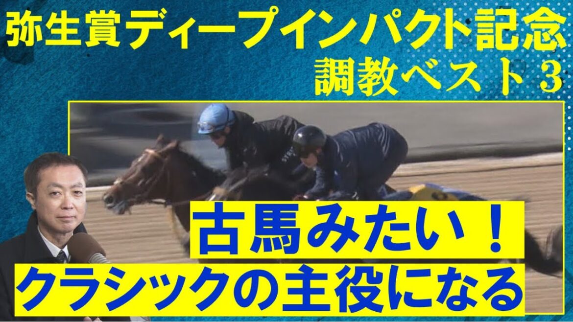 【世界的良血シンエンペラーか？無敗の逸材か？】競馬エイト・高橋賢司トラックマンの調教解説＜弥生賞ディープインパクト記念(ＧⅡ)＞