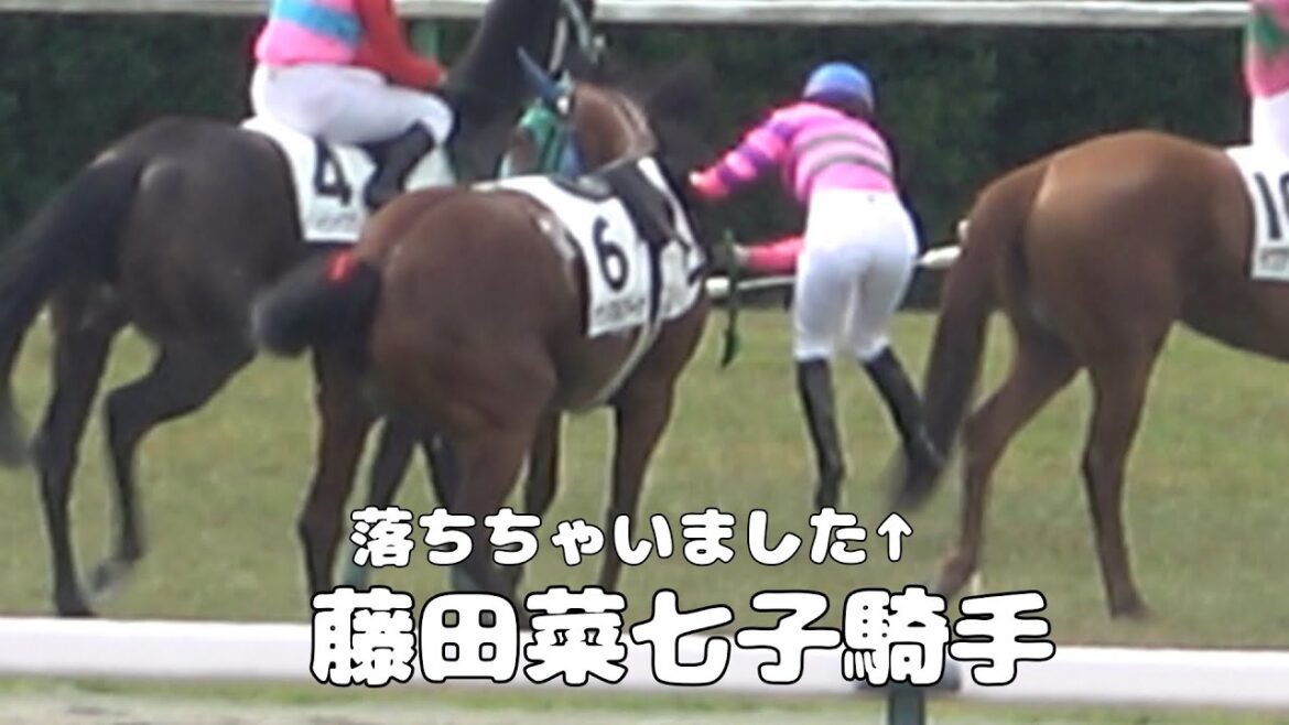 【新潟6鞍現地撮影】2024年5月19日藤田菜七子騎手の騎乗