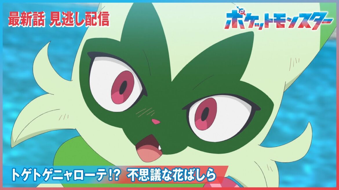 【公式】アニメ「ポケットモンスター」第51話「トゲトゲニャローテ！？不思議な花ばしら」（見逃し配信）